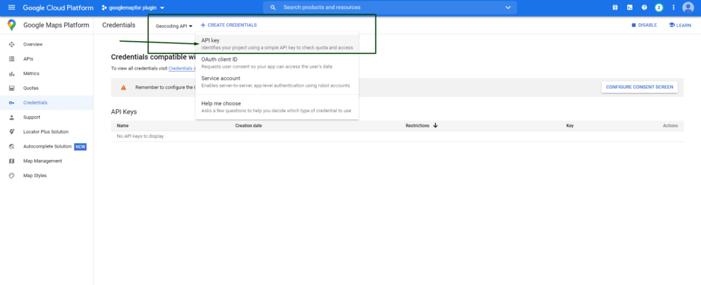 Google Maps API Key