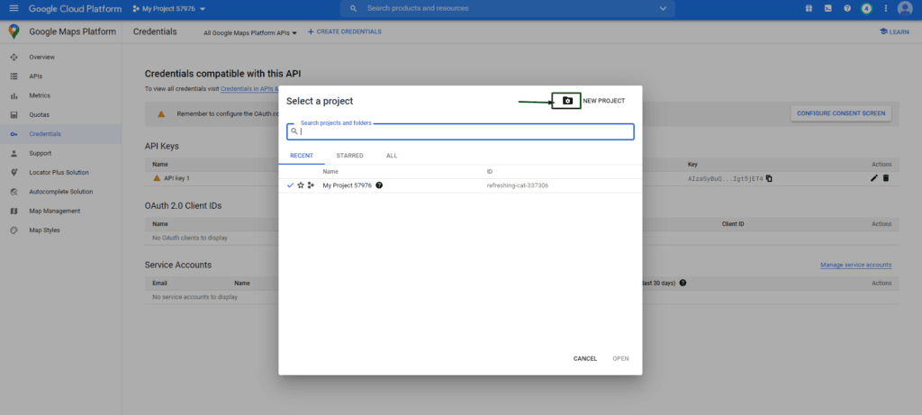 Google Maps API Key