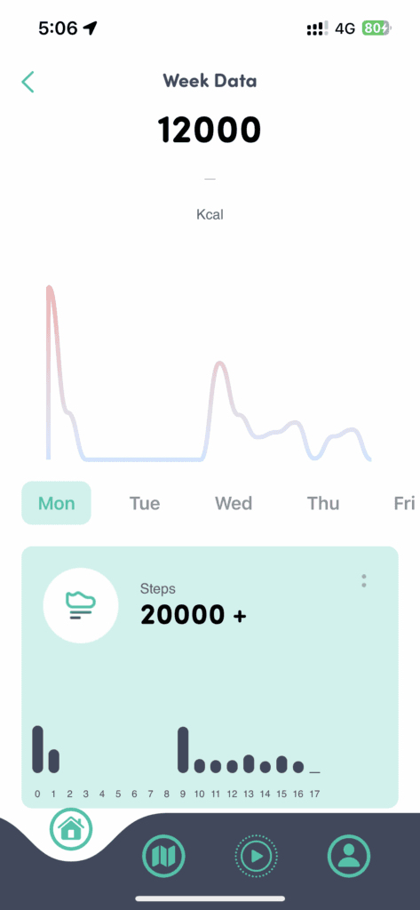 UI for User Dashboard (Showing User Today’s & Week StepCount Data)